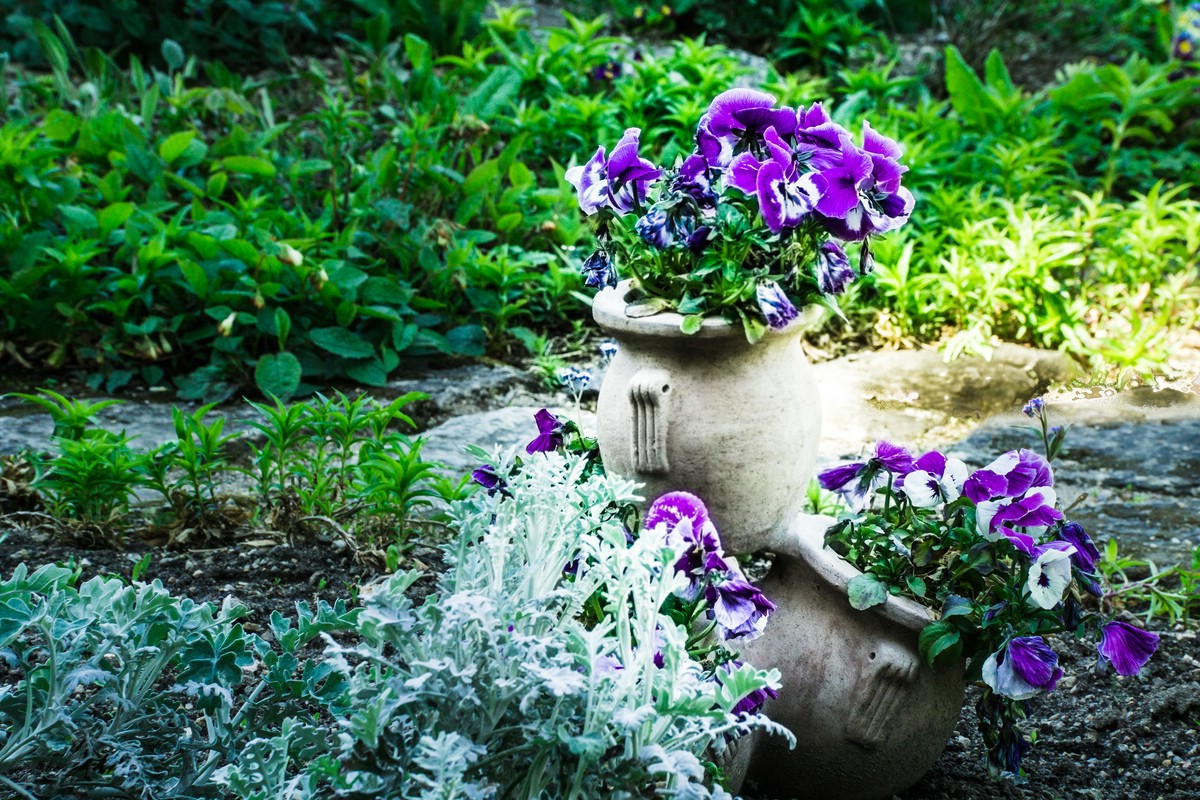 O Fotomagazin / Pregrtner Pflanzl- und Gartenkirtag 2016